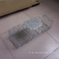 Cage d'oiseau pliable Live Coyote Cage Trap